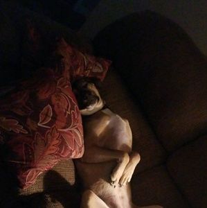 Meet your Posher, Leslie